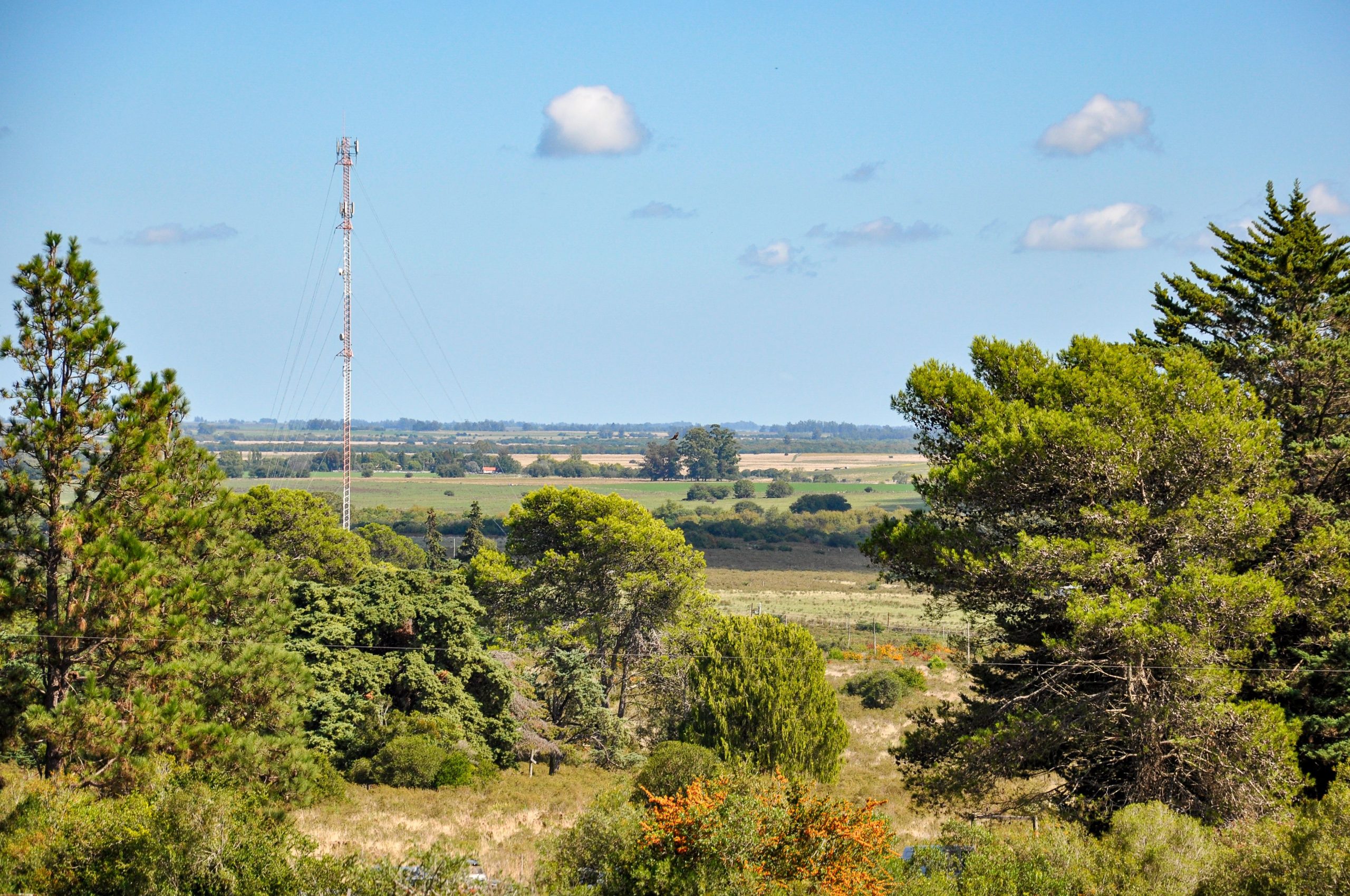 A beautiful rural landscape view in Lavalleja, Uruguay with lush trees and a distant radio tower.